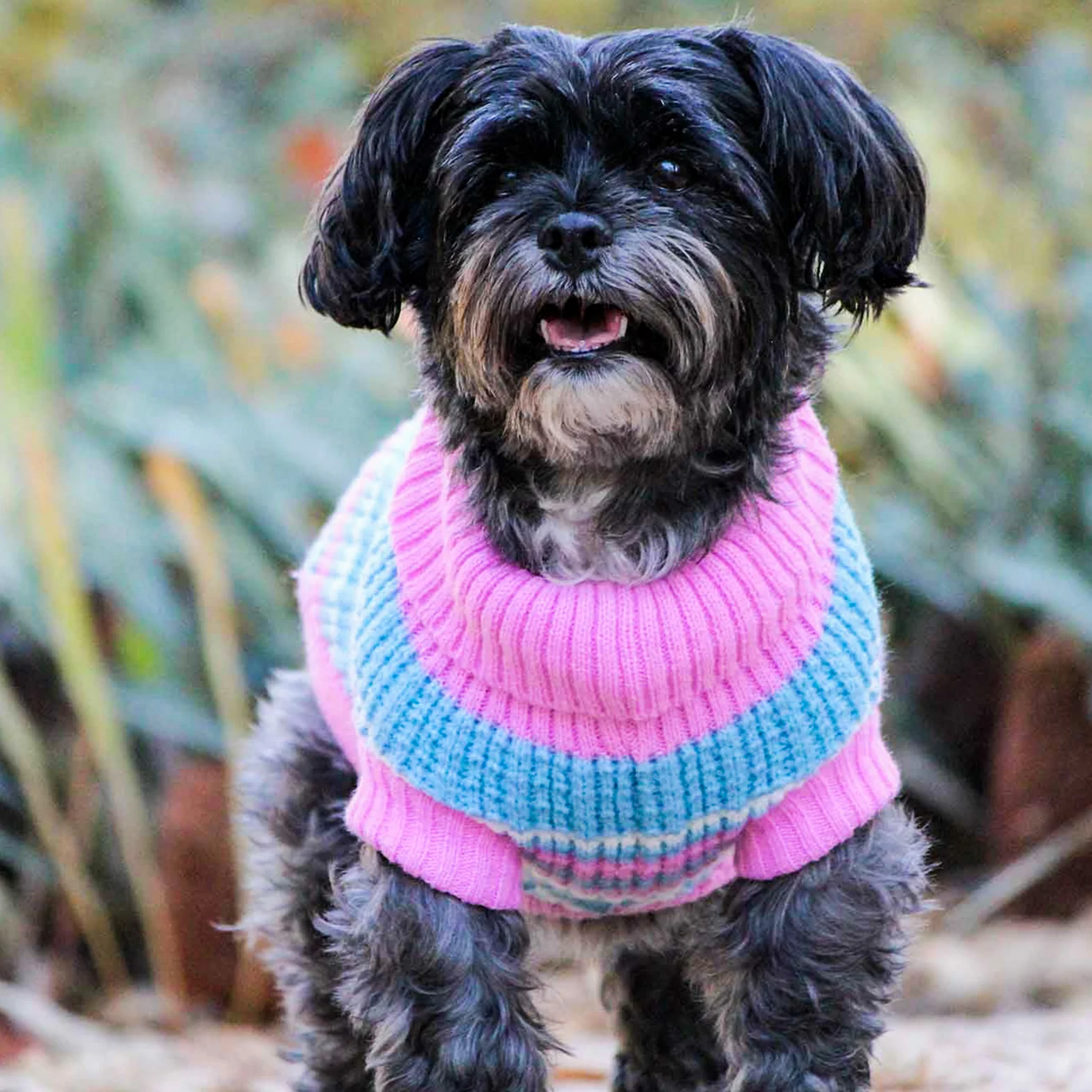 Huskimo Ski Lodge pink dog jumper for winter weather